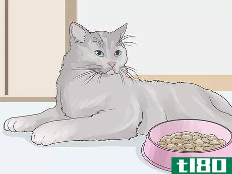 Image titled Help a Cat with Anxiety Step 13