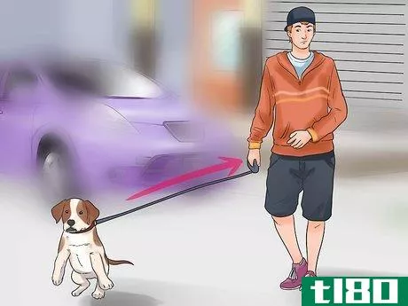 Image titled Hold a Dog's Leash Step 16