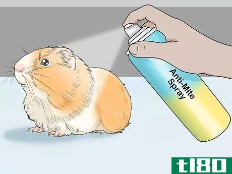 Image titled Get Rid of Mites on Hamsters Step 13