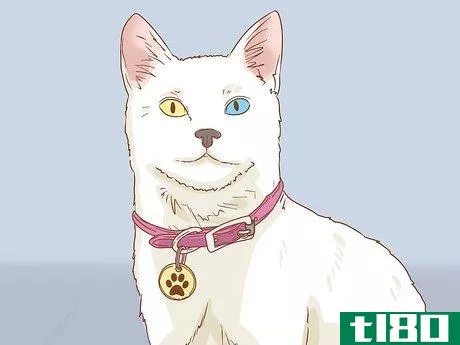Image titled Help a Deaf Cat Step 2