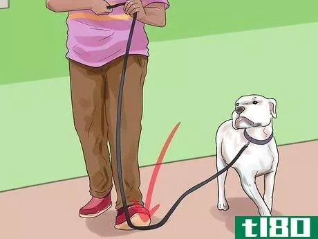 Image titled Hold a Dog's Leash Step 4
