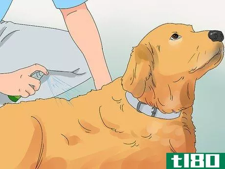 Image titled Give a Dog Benadryl Step 3