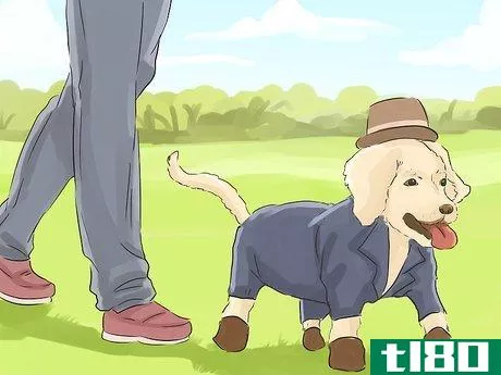 Image titled Help Your Dog Live Longer Step 11