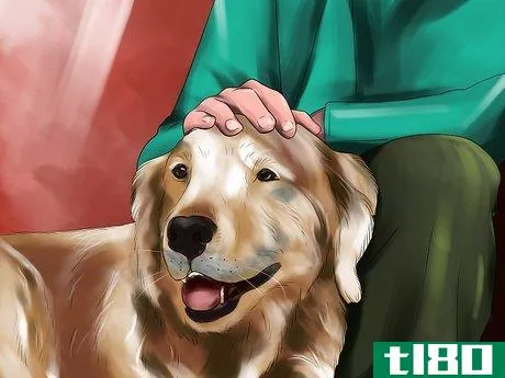 Image titled Housebreak a Dog with Positive Reinforcement Step 3