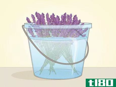 Image titled Harvest Lavender Step 6