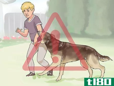 Image titled Introduce Your New Dog to the Neighbors Step 11