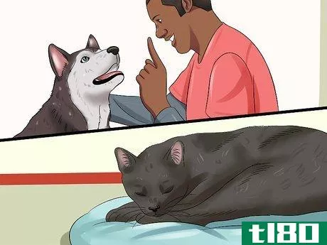 Image titled Introduce an Older Cat to a New Dog Step 10
