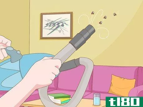 Image titled Get Rid of Flies Step 1