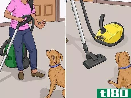 Image titled Keep a Dog from Chasing the Vacuum Cleaner Step 11