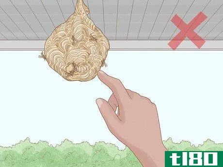 Image titled Get Rid of a Wasp's Nest Step 4