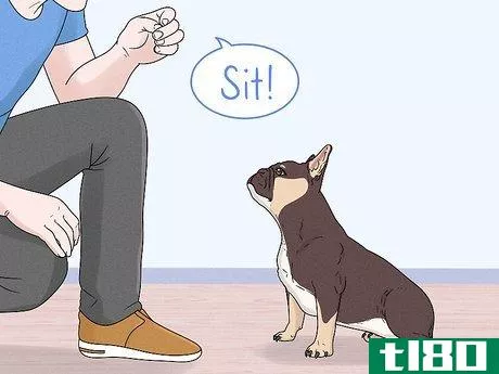 Image titled Identify a French Bulldog Step 11