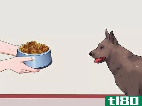 Image titled Get Your Dog to Swallow a Pill Step 3