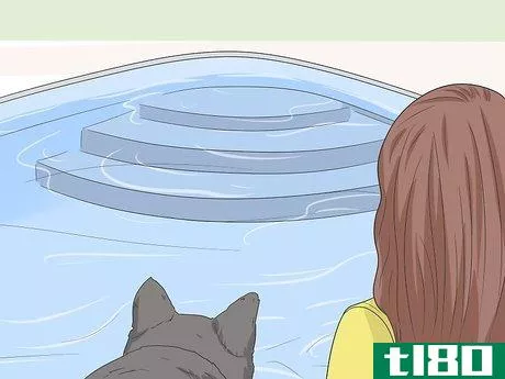 Image titled Keep Dogs Off of a Pool Cover Step 13