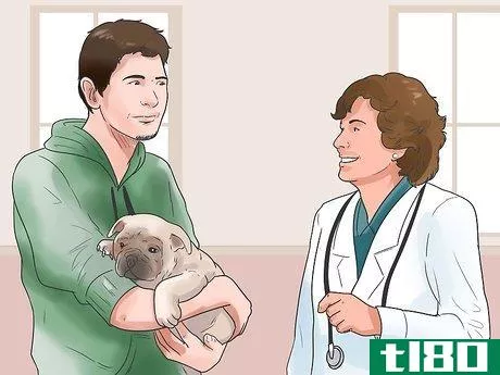 Image titled Help a Dog Who Has Canine Epilepsy Step 5
