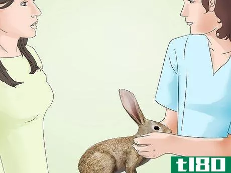 Image titled Get Rid of Mites on Rabbits Step 7