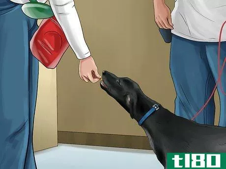 Image titled Know if You Are Ready for a Dog Step 29