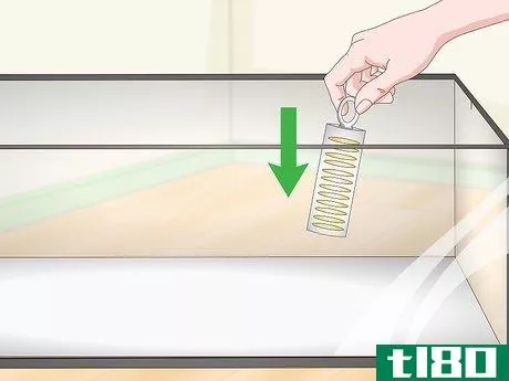 Image titled Get Rid of Mites on Snakes Step 14