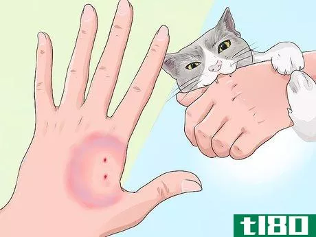 Image titled Know if a Pet Bite Is Serious Step 8