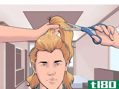 Image titled Grow a Mullet Step 5