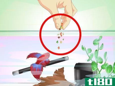 Image titled Have a Happy Betta Fish Step 11