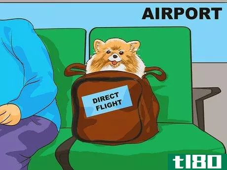 Image titled Handle Holiday Travel with Your Pet Step 10