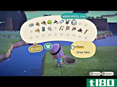 Image titled Have a Perfect Island or Town in Animal Crossing Step 11