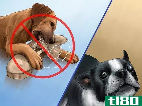 Image titled Give Your Dog Healthy Attention Step 12