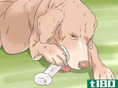 Image titled Keep Your Dog from Being Exposed to Household Poisons Step 9