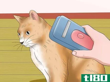 Image titled Keep a Stray Cat Away from Your Cat Step 13