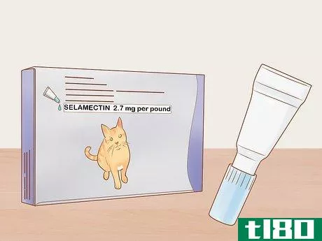 Image titled Give Selamectin to Cats with Parasites Step 1
