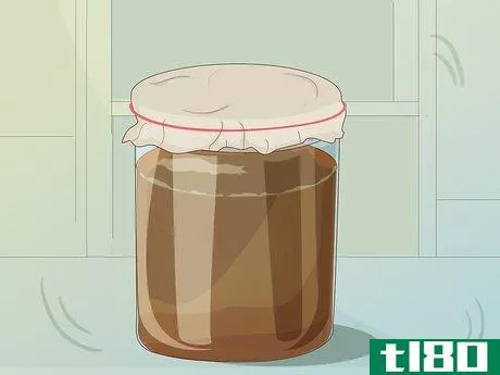 Image titled Grow Scoby Step 8