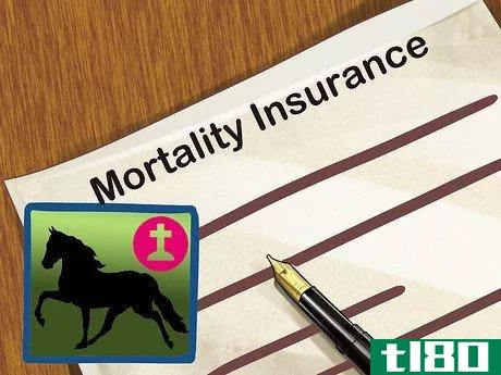 Image titled Insure Your Horse Step 1