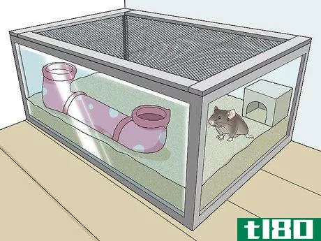 Image titled Keep Pet Mice Safe from Other Pets Step 6