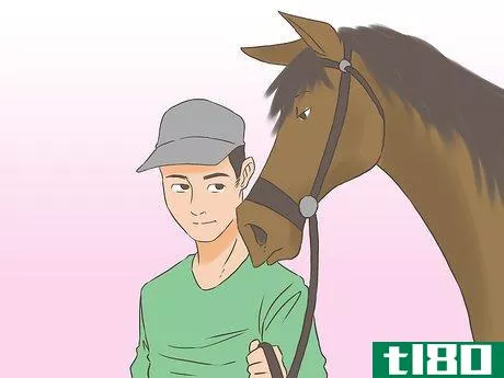 Image titled Get a Horse Fit Step 6