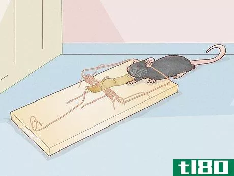Image titled Get Rid of Mice and Rats Step 2