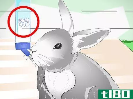 Image titled Keep Pet Rabbits Cool Step 7