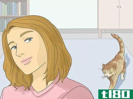 Image titled Help a Cat with Anxiety Step 5