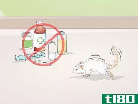Image titled Know if Your Gerbil Is Having a Seizure Step 8