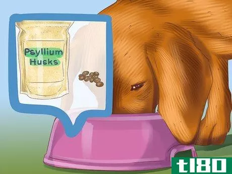 Image titled Help a Dog with Sleep Incontinence Step 12