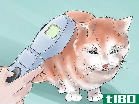 Image titled Inject a Microchip Into a Pet Step 11