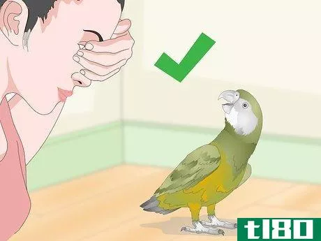 Image titled Keep a Senegal Parrot Entertained Step 9