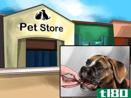 Image titled Housebreak a Dog with Positive Reinforcement Step 2