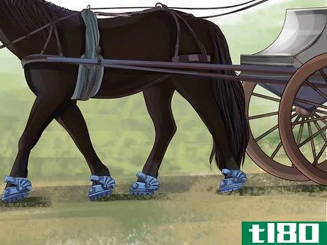 Image titled Know if Your Horse Needs Shoes Step 10