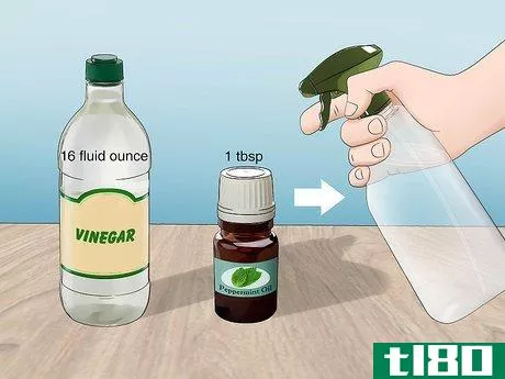 Image titled Get Rid of Wasps with Vinegar Step 5