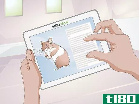 Image titled Get a Hamster to Sleep Step 5