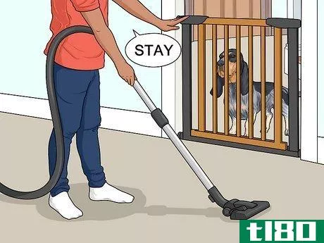 Image titled Keep a Dog from Chasing the Vacuum Cleaner Step 4