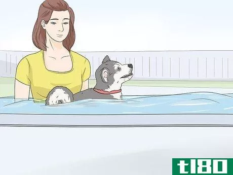 Image titled Keep Dogs Off of a Pool Cover Step 12