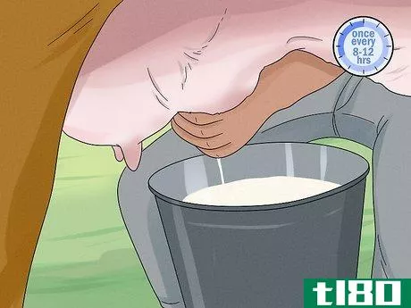 Image titled Increase Dairy Milk Production Step 10
