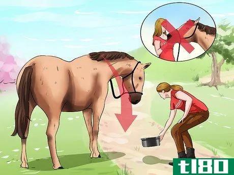 Image titled Get a Head Shy Horse To Trust You Step 13