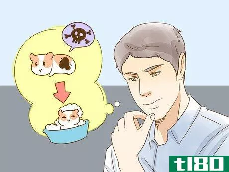 Image titled Give Your Hamster a Bath Step 10